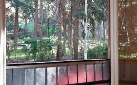 Park-View Apartment